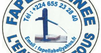 logo #STARTUP: FAPEL GUINÉE